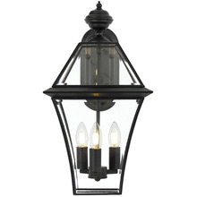 Black Rye Outdoor Wall Light